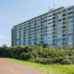 Huur 1 slaapkamer huis van 60 m² in Schiedam