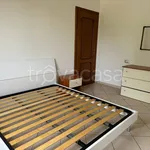 Rent 2 bedroom apartment of 60 m² in Alessandria