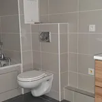 Appartement de 37 m² avec 1 chambre(s) en location à Viroflay