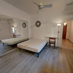 Rent 2 bedroom apartment of 38 m² in Ferrara