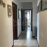 Rent 3 bedroom apartment of 125 m² in Roma