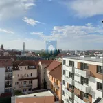 Pronajměte si 3 ložnic/e byt o rozloze 119 m² v Pilsen