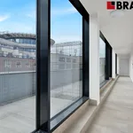 Rent 4 bedroom apartment of 95 m² in Brno