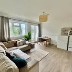 Rent 1 bedroom apartment in Stafford