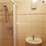 Rent 1 bedroom apartment of 44 m² in České Budějovice