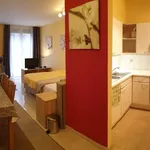 Rent 1 bedroom apartment in Leuven