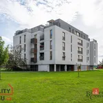 Rent 2 bedroom apartment of 57 m² in Hradec Králové