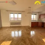 Rent 1 bedroom apartment in Přerov