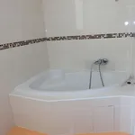 Rent 3 bedroom apartment of 65 m² in České Budějovice