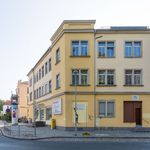 Rent 1 bedroom apartment of 35 m² in Dresden