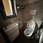 Rent 1 bedroom apartment of 20 m² in Piacenza