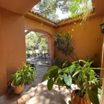 Rent 4 bedroom house of 330 m² in Marbella