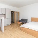 Rent 1 bedroom apartment of 32 m² in Praha 4 - Chodov