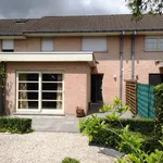 Rent 3 bedroom house of 156 m² in Egem