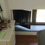 Rent 4 bedroom apartment of 85 m² in Massa