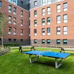 Rent 1 bedroom apartment in Exeter