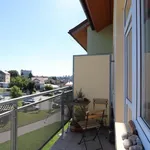 Rent 1 bedroom apartment of 29 m² in Brno