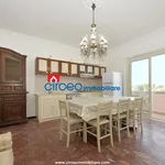 Rent 5 bedroom apartment of 141 m² in San Felice Circeo