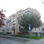 Rent 2 bedroom apartment of 45 m² in Rudná