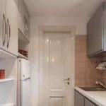 Rent 1 bedroom apartment in milan