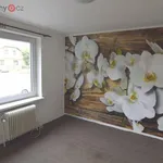 Rent 4 bedroom apartment of 79 m² in Přepychy