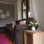 Rent 2 bedroom apartment of 45 m² in Bonn