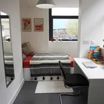 Rent 1 bedroom apartment in Coventry