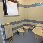 Rent 2 bedroom apartment of 32 m² in Novara