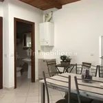 Rent 3 bedroom apartment of 70 m² in Bologna