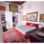 Rent 5 bedroom apartment of 130 m² in Lucca