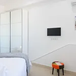 Rent 1 bedroom apartment of 22 m² in Madrid