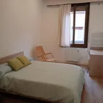 Rent 3 bedroom apartment in Bilbao