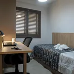 Rent 4 bedroom apartment in Valencia