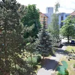 Rent 1 bedroom apartment in České Budějovice