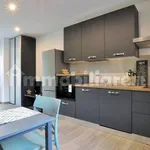 Rent 1 bedroom apartment of 35 m² in Turin