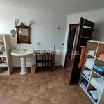 Rent 1 bedroom apartment of 47 m² in Capital City of Prague