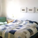 Rent 3 bedroom apartment of 86 m² in Siena