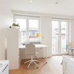 Rent 1 bedroom apartment in Leuven