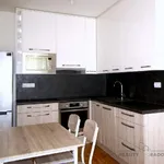 Rent 1 bedroom apartment of 46 m² in Brno