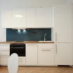 Rent 1 bedroom apartment of 33 m² in Prague