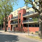 Rent 3 bedroom apartment of 63 m² in Armentières