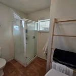 Rent 3 bedroom house in Tauranga