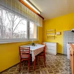 Rent 2 bedroom apartment in Česká Lípa