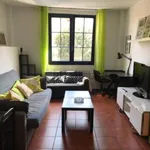 Rent 1 bedroom apartment of 55 m² in Gijón