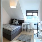 Rent a room of 80 m² in Stuttgart