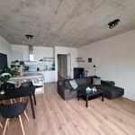 Rent 2 bedroom apartment of 65 m² in Noordelijke IJ-oevers-West