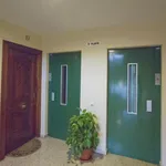 Rent 3 bedroom apartment in Seville