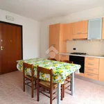 Rent 2 bedroom apartment of 60 m² in Carmignano di Brenta