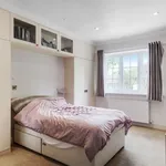 Rent 6 bedroom apartment in London