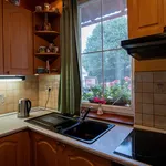 Rent 1 bedroom apartment of 45 m² in Pardubice